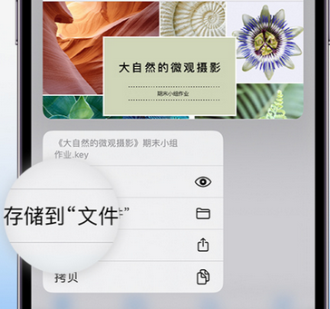 玉泉街道apple维修中心分享iPhone文件应用中存储和找到下载文件