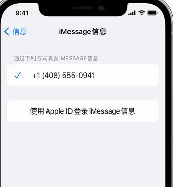 玉泉街道apple维修iPhone上无法正常发送iMessage信息 