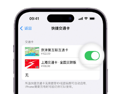 玉泉街道apple维修点分享iPhone上更换Apple Pay快捷交通卡手绘卡面 