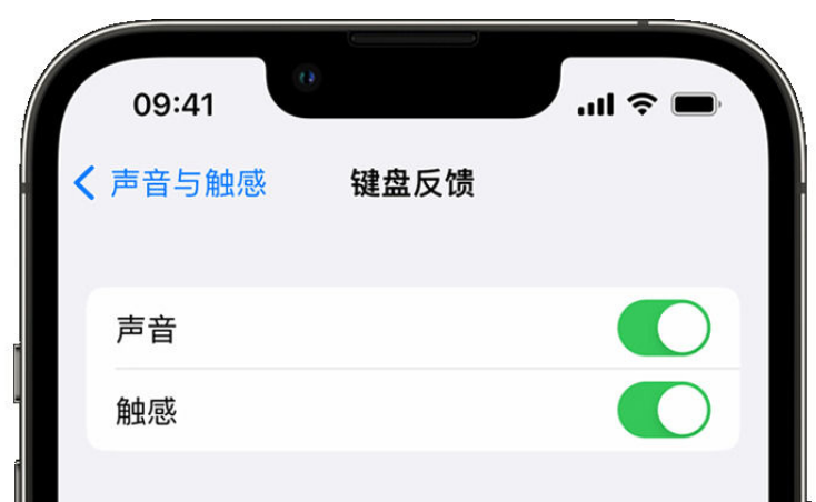 玉泉街道苹果手机维修分享iPhone 14触感键盘使用方法 