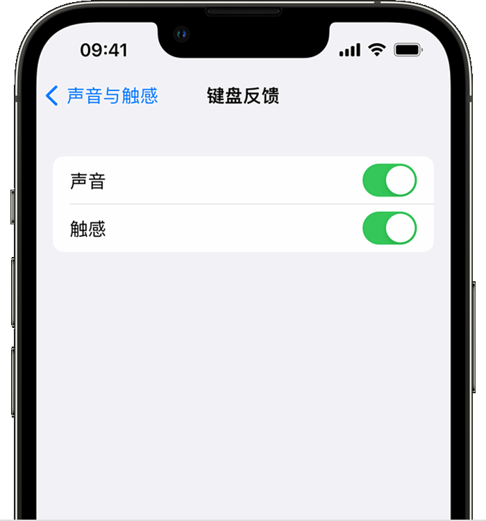 玉泉街道苹果14维修店分享如何在 iPhone 14 机型中使用触感键盘 