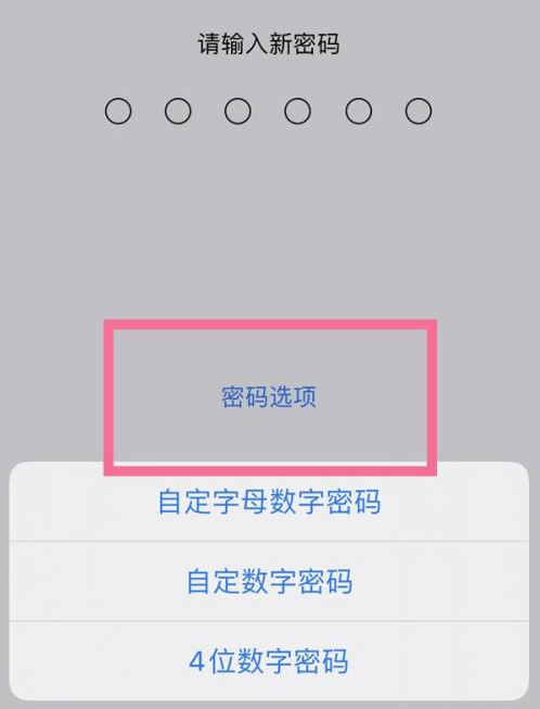 玉泉街道苹果14维修分享iPhone 14plus设置密码的方法 