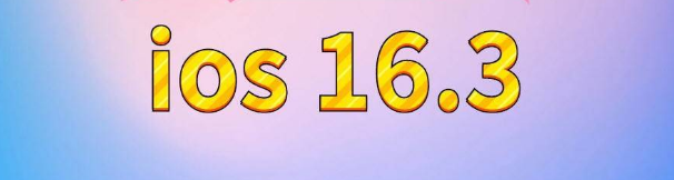 玉泉街道苹果服务网点分享苹果iOS16.3升级反馈汇总 